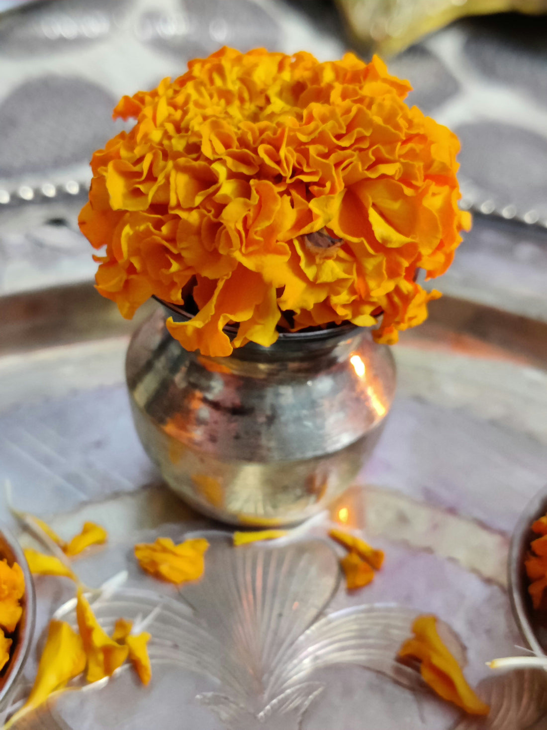 The Ayurvedic Wisdom Behind Copper Water